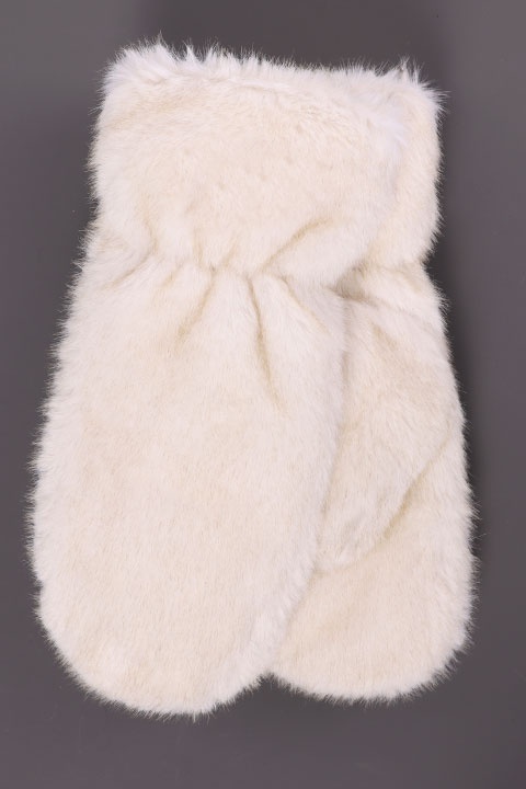 Catalog Image