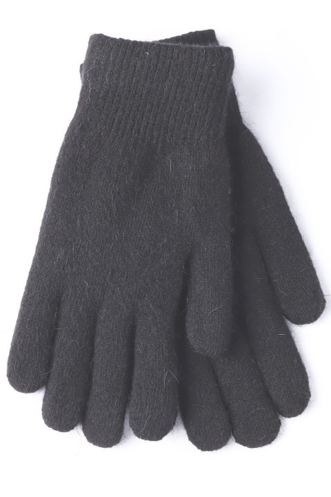 Catalog Image