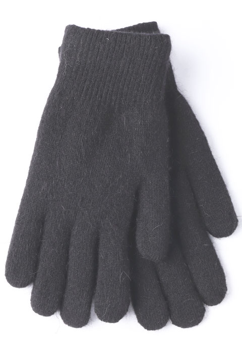 Catalog Image