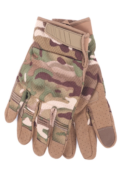 Catalog Image