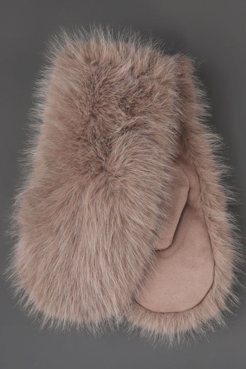 Catalog Image