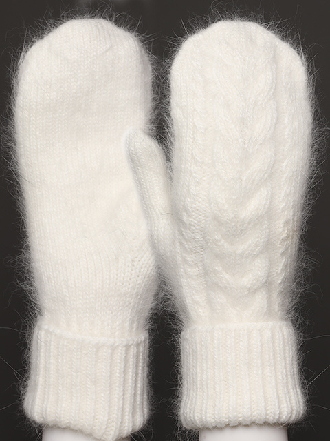Catalog Image