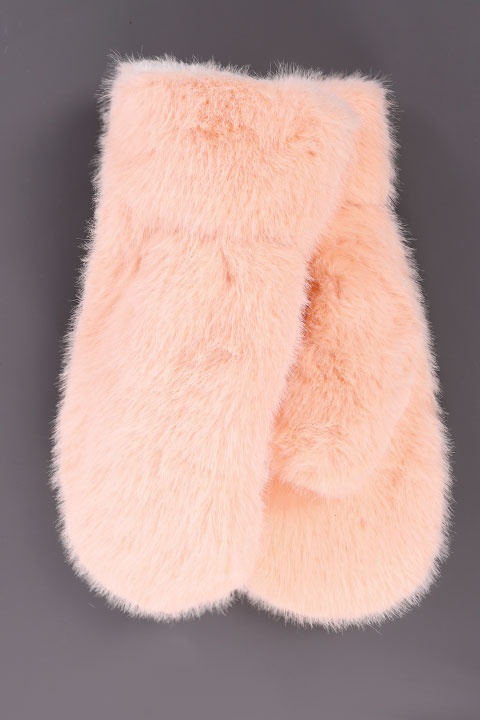 Catalog Image