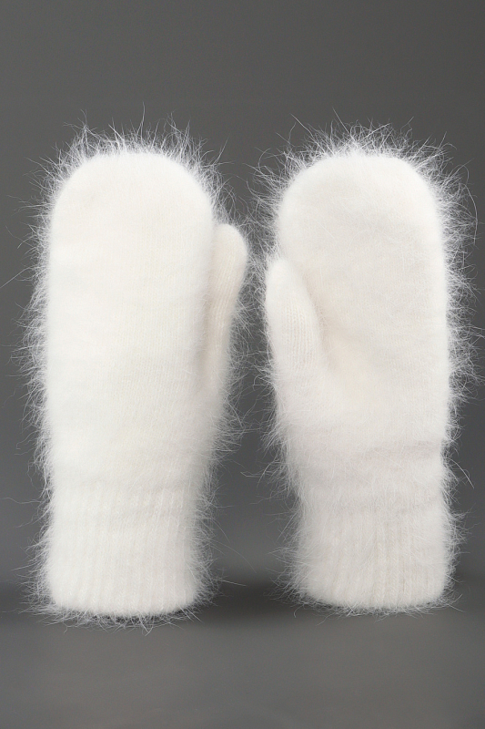 Catalog Image