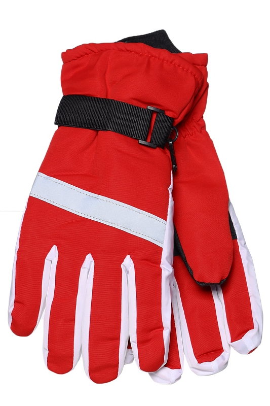 Catalog Image