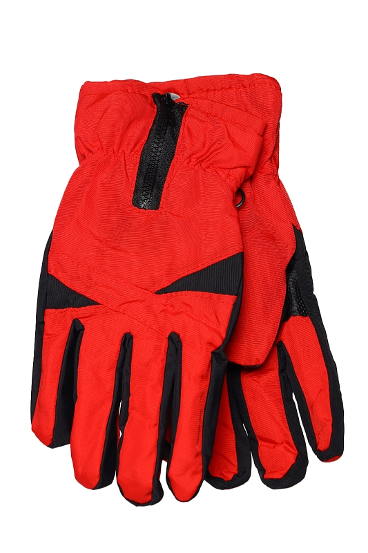 Catalog Image