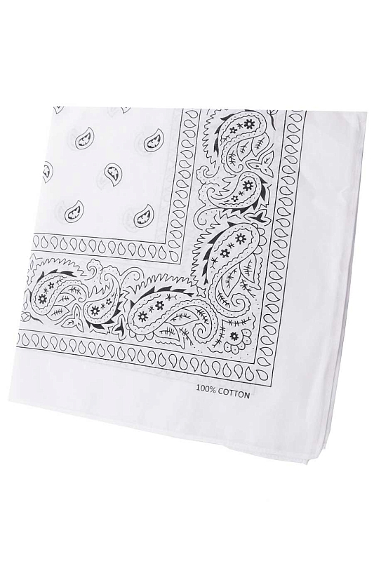Catalog Image