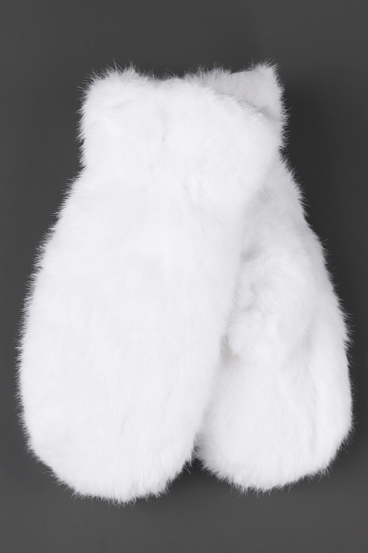 Catalog Image