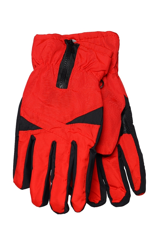 Catalog Image
