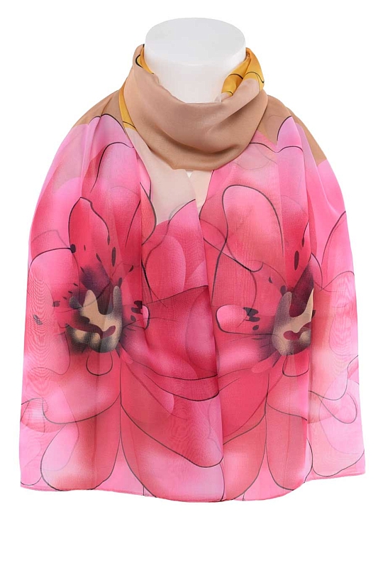 Catalog Image