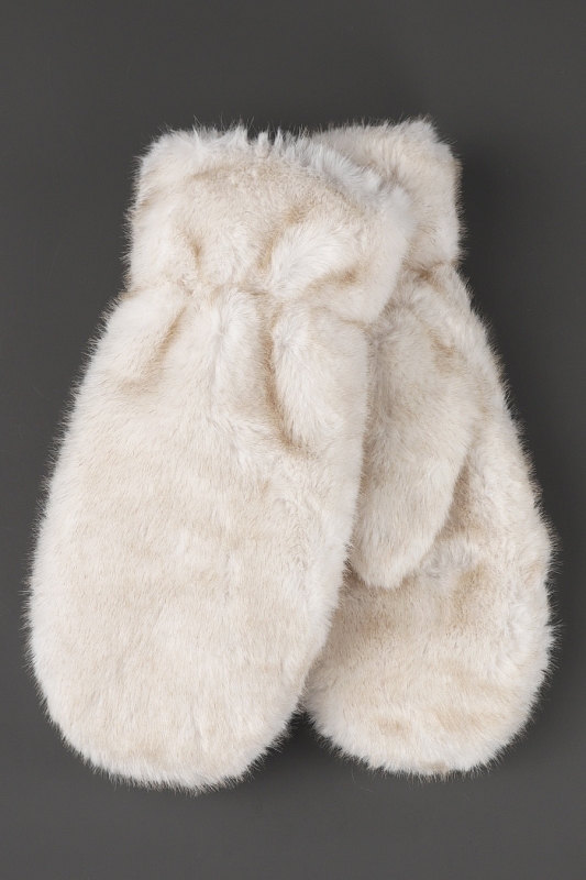 Catalog Image
