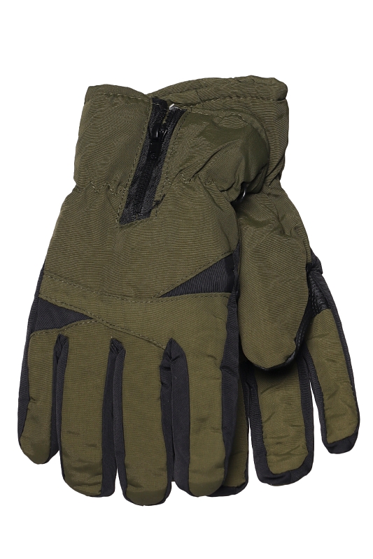 Catalog Image